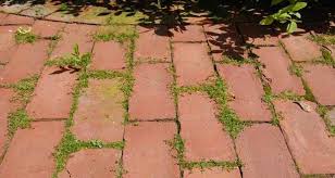 Désherbant naturel pour les zones décoratives Désherbant naturel pour les zones décoratives